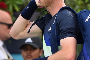 华体会-澳大利亚网球队横扫英国网球队，穆雷爆发神勇