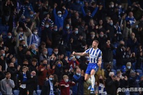 华体会官网-狼队主场不敌布赖顿，状态下滑的简单介绍