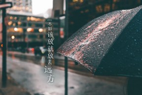 华体会-独步天下，2026世界杯E组，阿根廷以快制胜，久保建英孤星闪耀