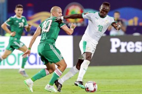 华体会-布尔加利亚队遗憾输给冰岛队无缘晋级