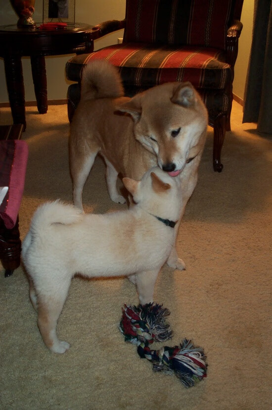 华体会官网-数据揭秘，一个平凡的意式中卫，如何上演19年首见的拜仁克星神迹？  第2张