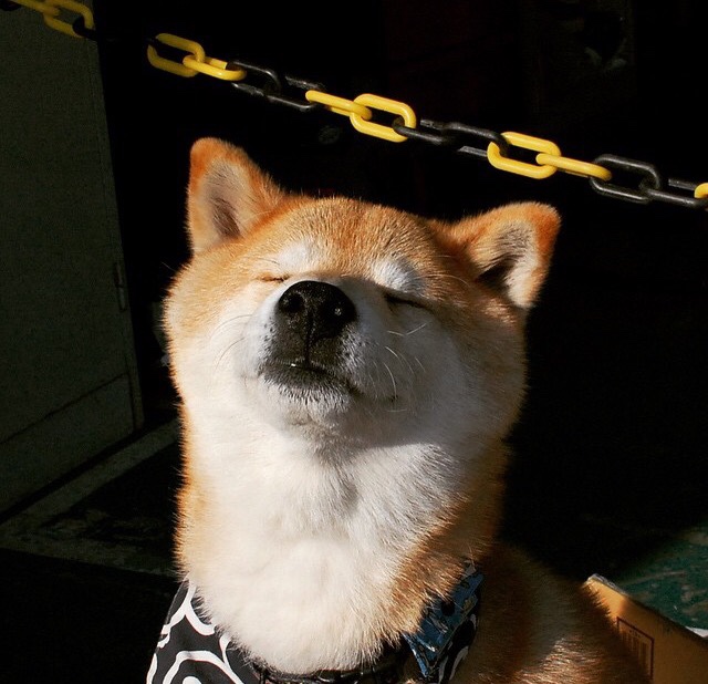 华体会app-平行时空的足球记忆，当丹麦在诺坎普呼啸而过，只有皮克记得自己为何而战  第1张